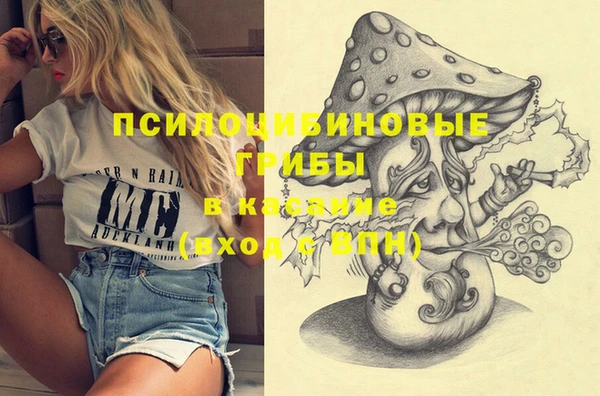 дмт Абинск