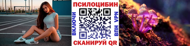 Галлюциногенные грибы Magic Shrooms  Черногорск 