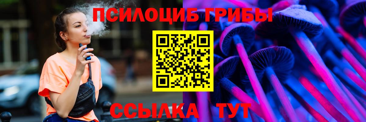 Псилоцибиновые грибы Psilocybe Черногорск